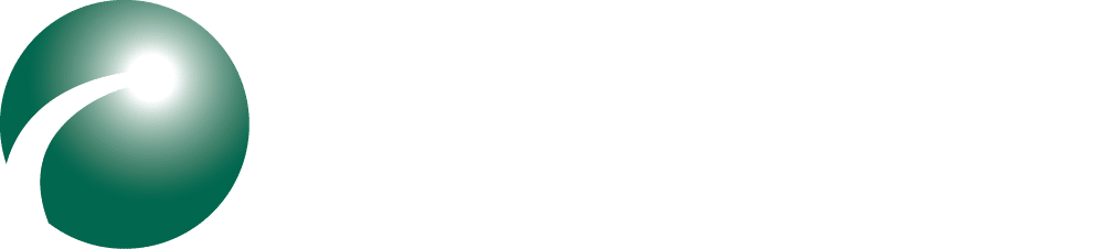 IVEMSA